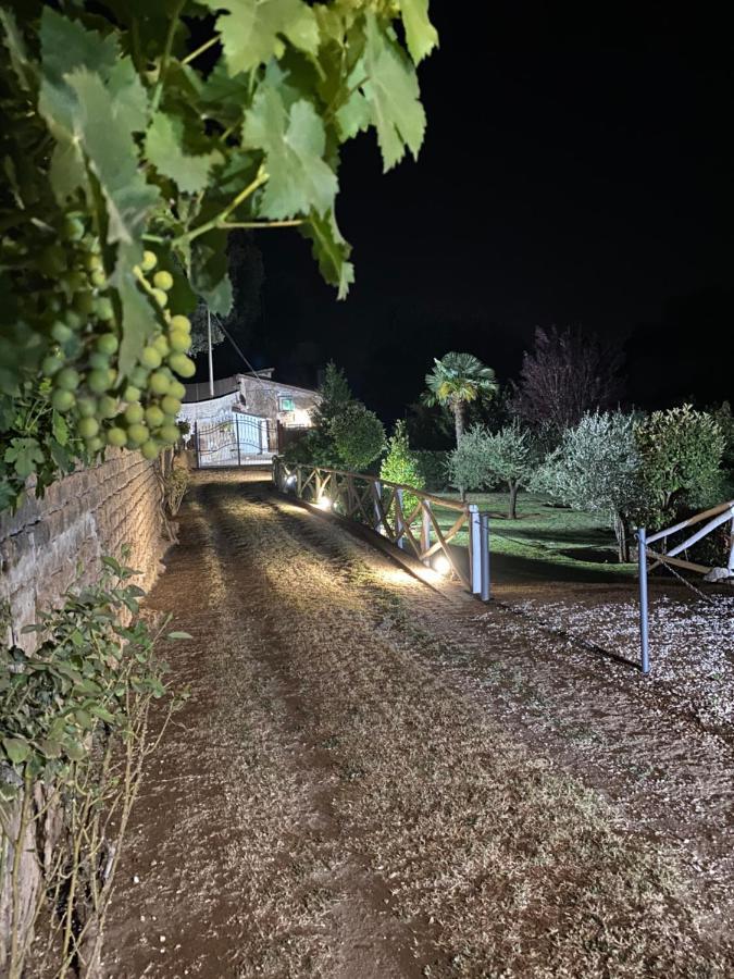 Casetta Santa Fortunata Guest House 苏特里 外观 照片